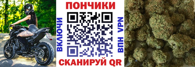 Купить наркотики цена Шенкурск Конопля  МЕФ  Метамфетамин  АМФ  ГАШИШ  Cocaine 